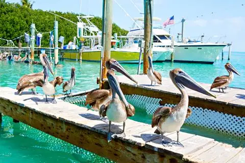 13-daagse rondreis Best of Florida