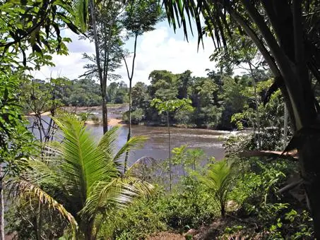16-daagse rondreis In de ban van Suriname