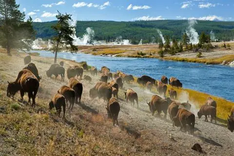 19-daagse rondreis from the Rockies to the Pacific