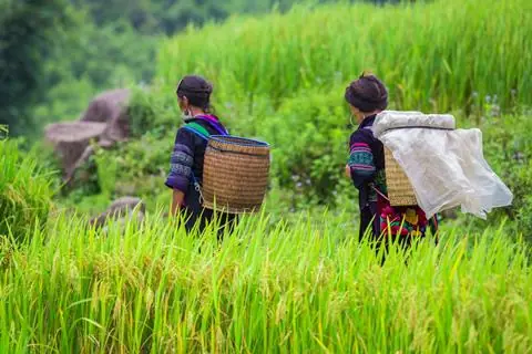 20-daagse rondreis Vietnam Compleet