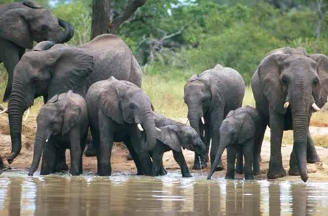 25-daagse rondreis See it All van Kruger tot Kaap