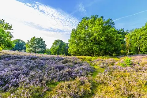5-daagse fietsreis de Veluwe