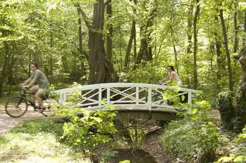 8-daagse fietsreis Münsterland