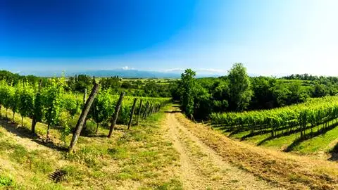 8-daagse kampeer-fietsreis Friuli