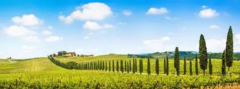 8-daagse rondreis Parels van Toscane