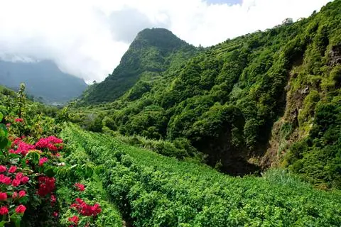 8-daagse rondreis Romantisch Madeira