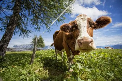 8-daagse standplaatsreis Karintische meren