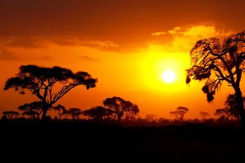 9-daagse safari Shimba Hills