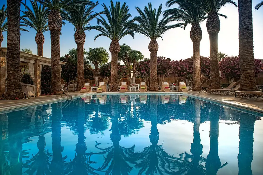 App. Drossia Palms