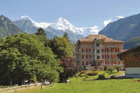 Berghof-Amaranth
