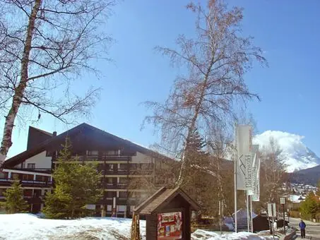 Birkenwald