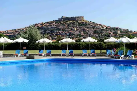 Delfinia