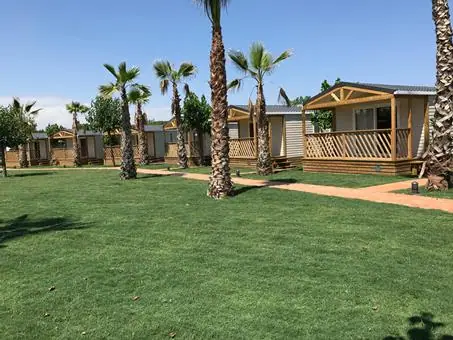 El Pinar