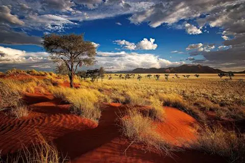Fly & Drive Windhoek
