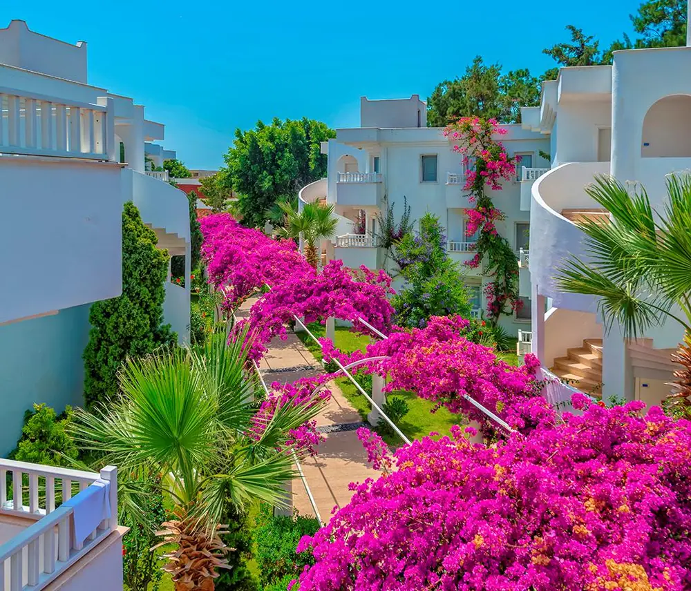 Hotel Bendis Beach