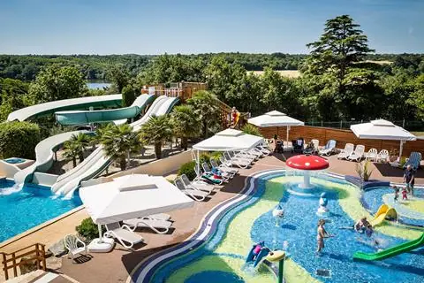 Le Pin Parasol