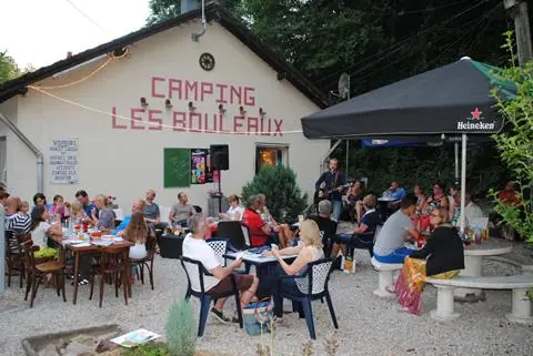 Les Bouleaux