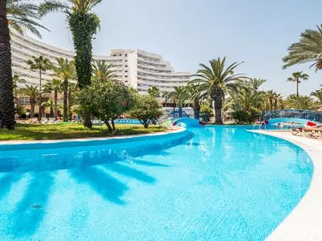 Riadh Palms
