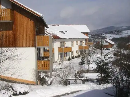 Schwarzholz
