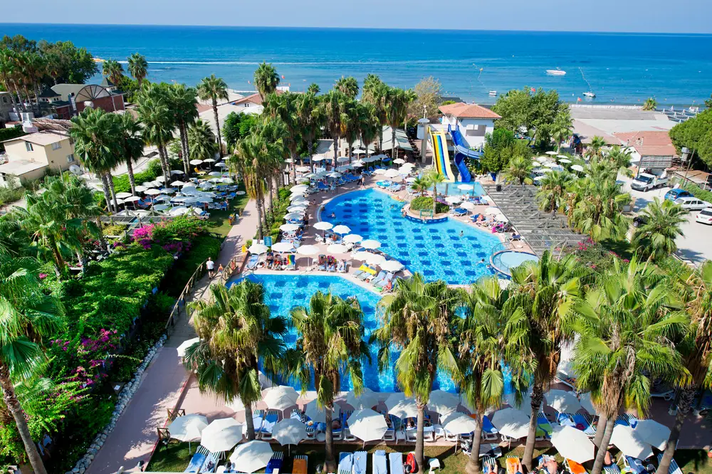 Trendy Palm Beach