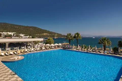 Voyage Torba